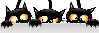 rcasamort's profile banner image