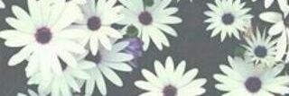 AILIN❤ banner