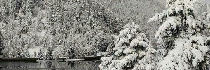 Lara_Prieto_'s profile banner image