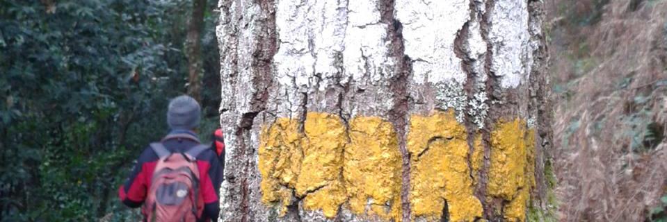 TCComes's profile banner image