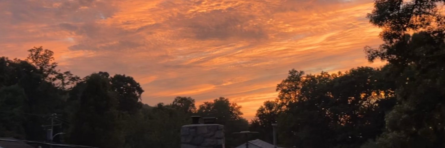 abbbygonzalez's profile banner image