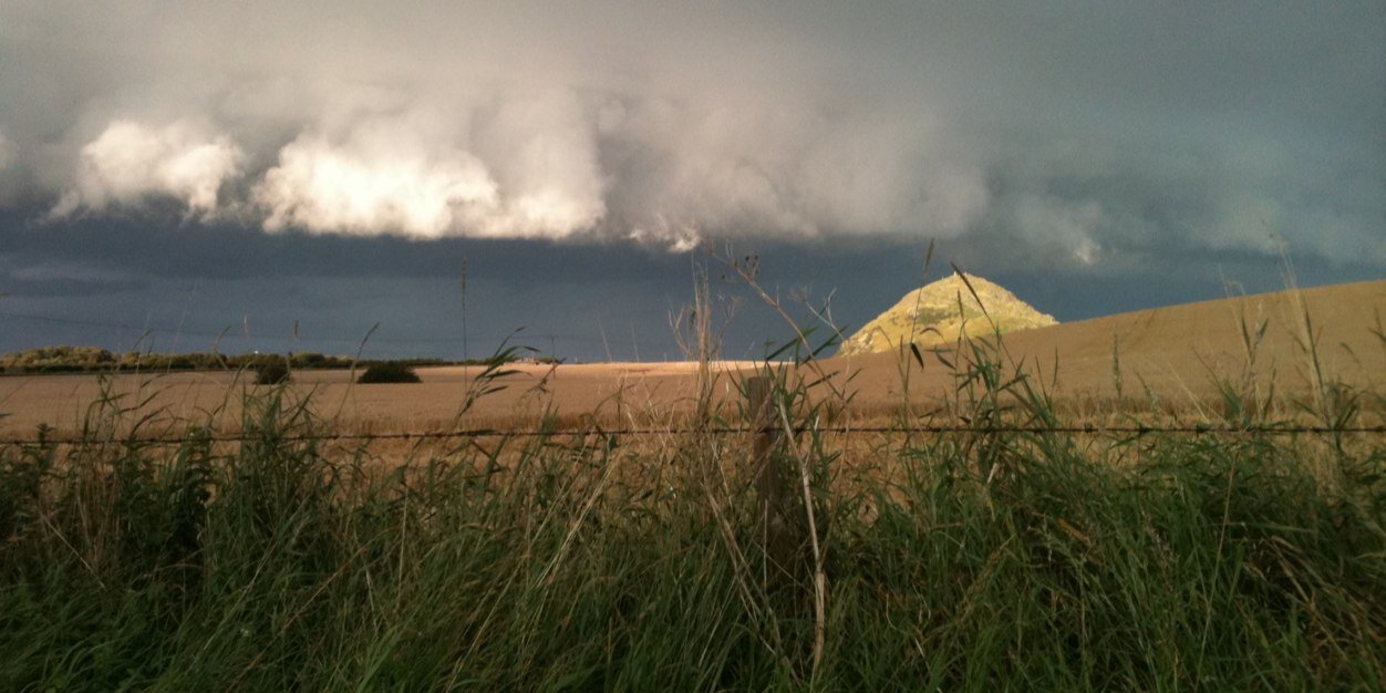 Jacquie Pepper banner