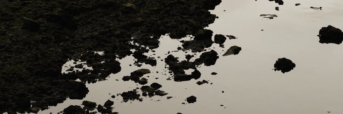 Mikel Ibarluzea 🔻 banner