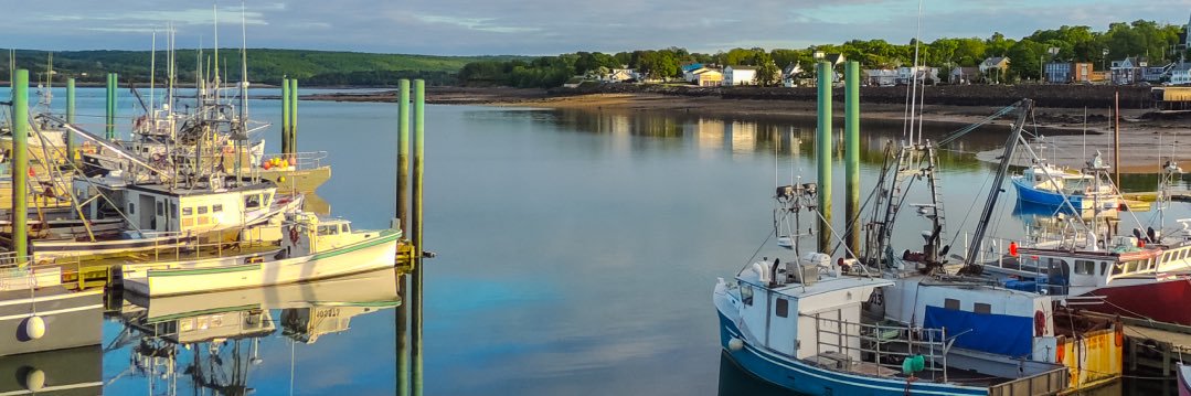 Your Tri Counties banner