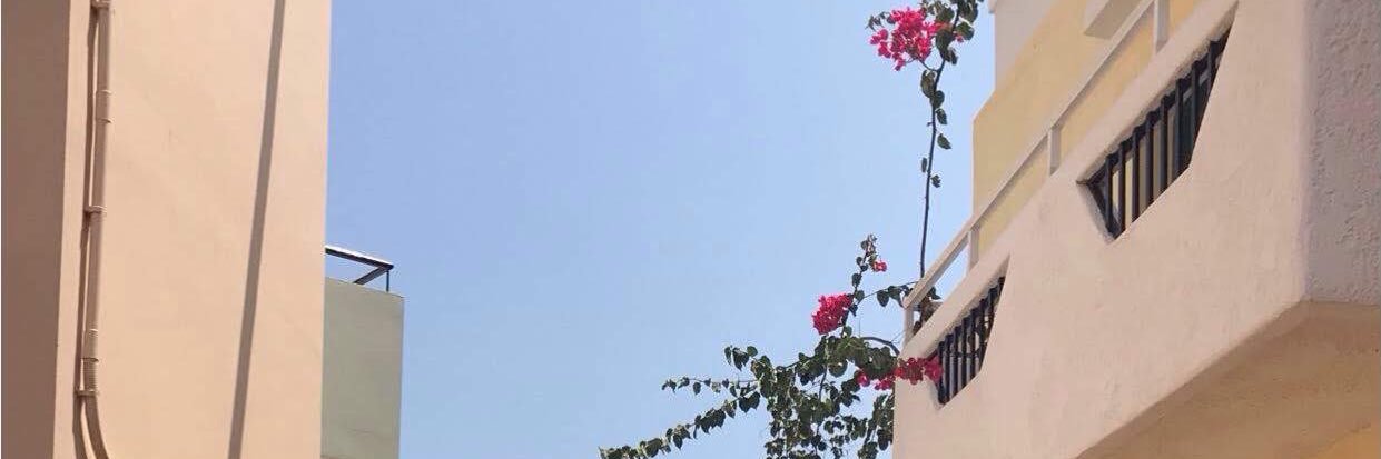 lauraapark's profile banner image