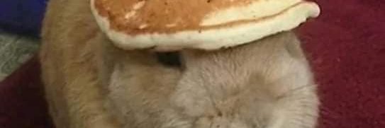 hydralisk33's profile banner image