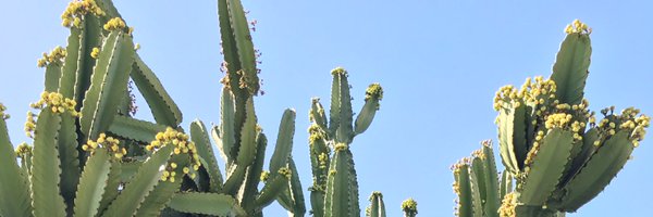 Electriceunice Profile Banner