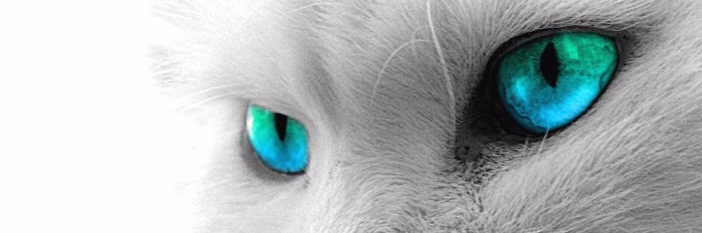 rcarefreee's profile banner image