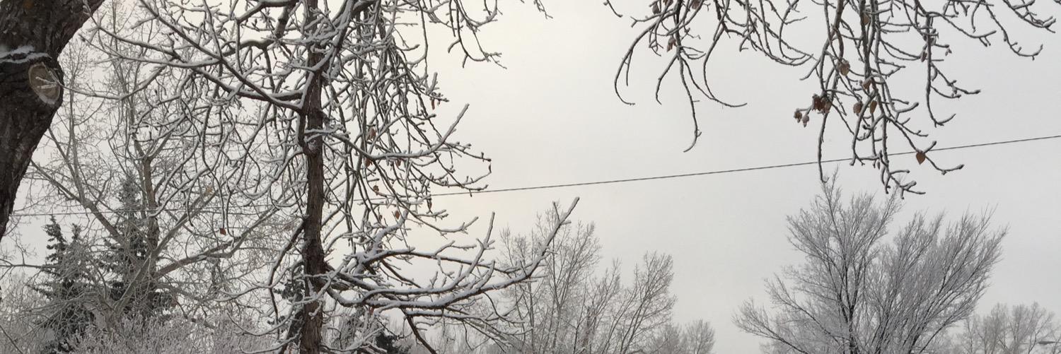downtownalice's profile banner image