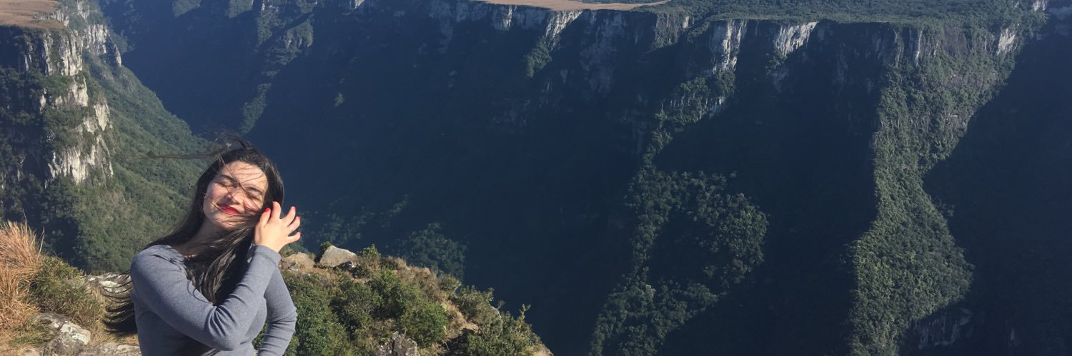ViihBorges_'s profile banner image