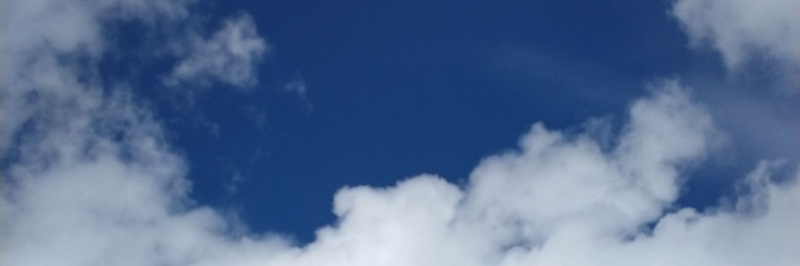 tanretantan's profile banner image