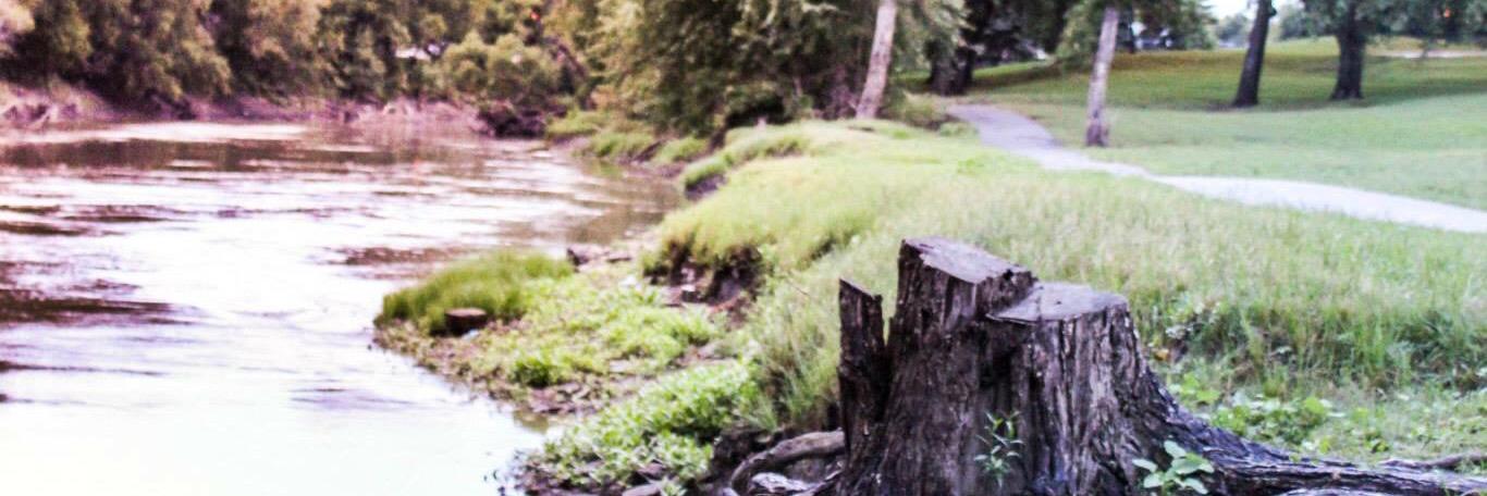 Chloe_Cherf's profile banner image