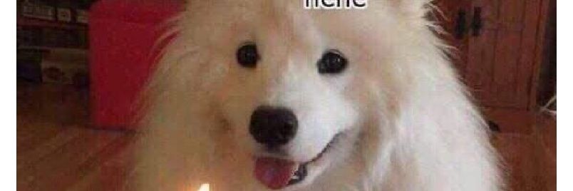 brendens97's profile banner image