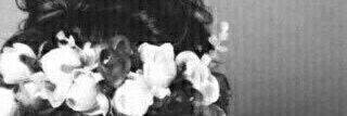 am5530050's profile banner image