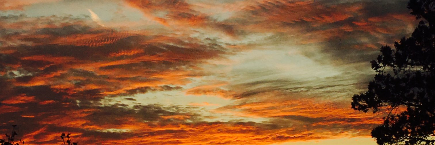 stephen kaufer banner