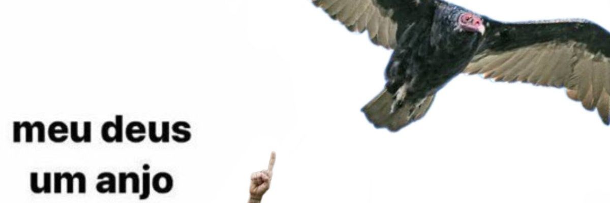 BBonsaver's profile banner image