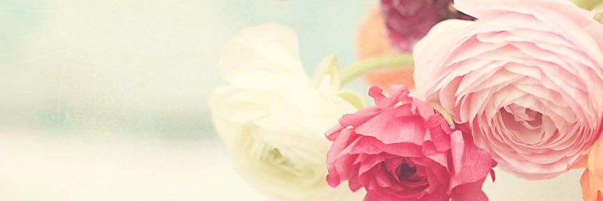 Iotuspain's profile banner image