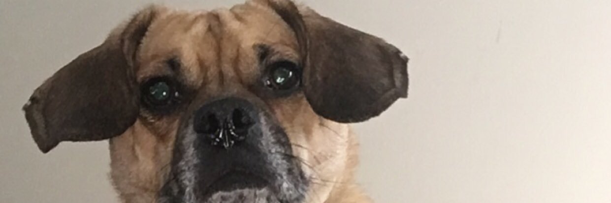 madybunn_'s profile banner image