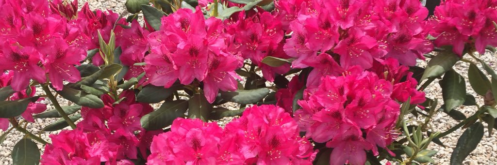TheMommyCard's profile banner image