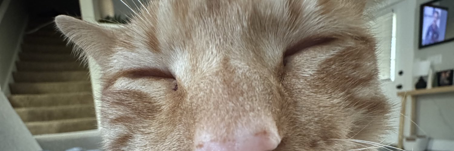 Casey___0's profile banner image