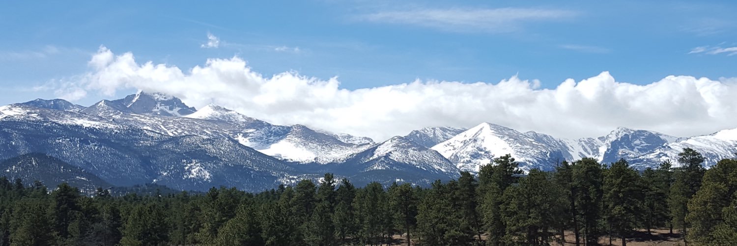Hailey8951's profile banner image