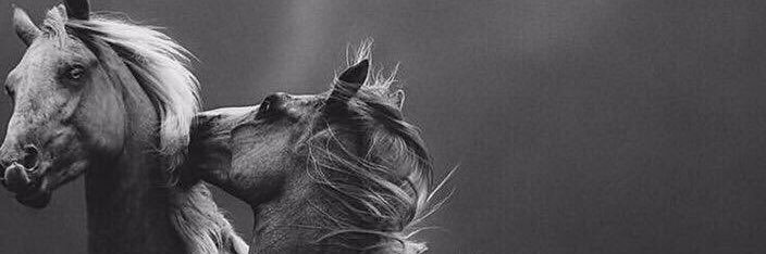 Mnoo9902's profile banner image