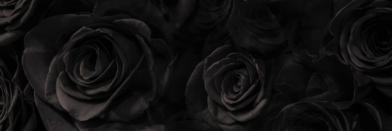 ramerovalen's profile banner image