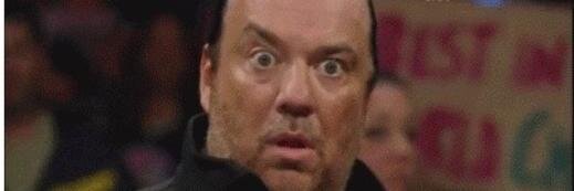 The Shoreline banner