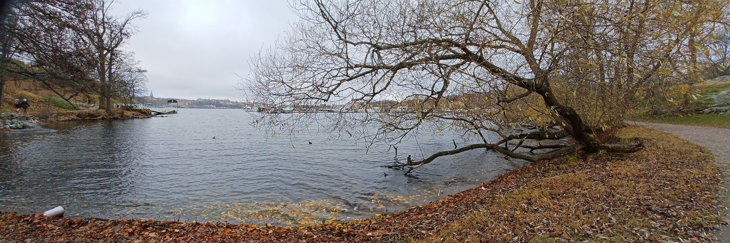 Armi Suojanen banner