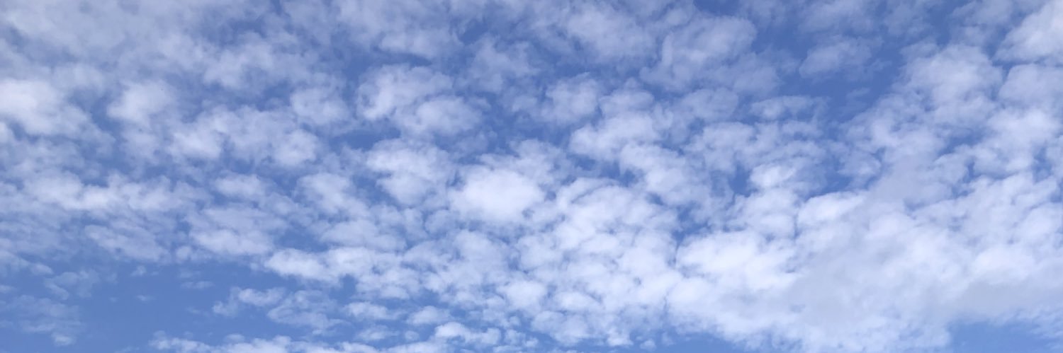jboscorbr's profile banner image