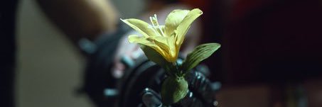 JackErufu @ CCP banner