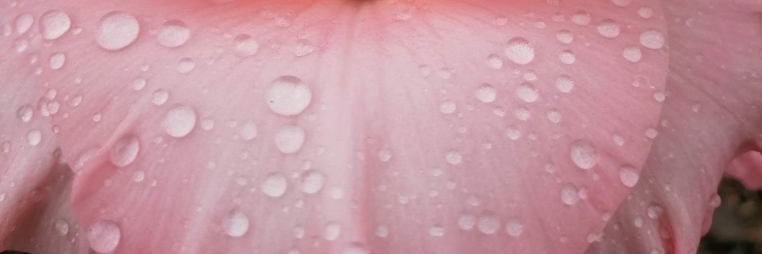 akaha00's profile banner image