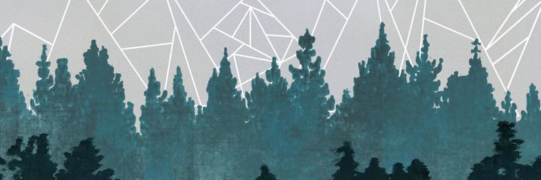 VolcanoFireWall's profile banner image