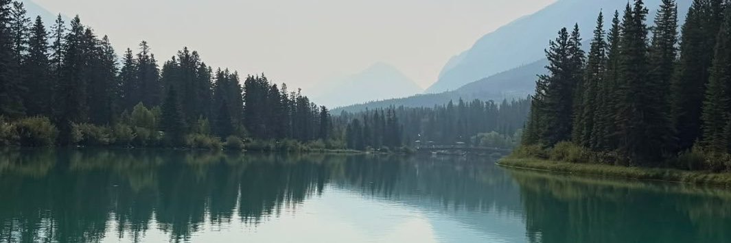 Arantxaemh's profile banner image