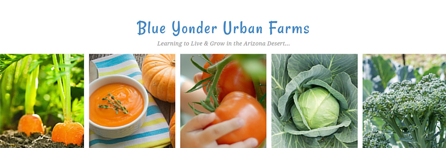 blueyonderurban's profile banner image