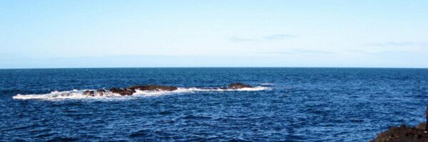 MsMOakSt Profile Banner