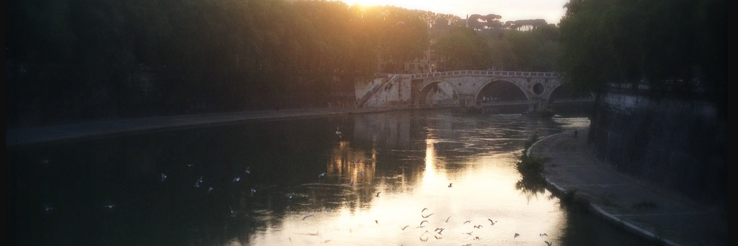 Emmanuelle Andreani banner