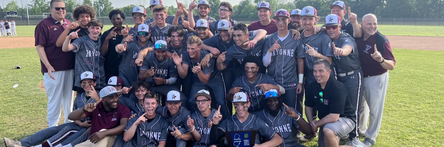 BHSbeesbaseball banner