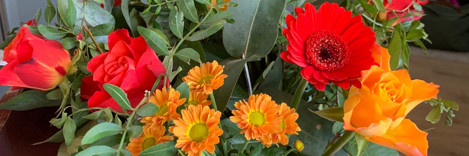 NlNuphar's profile banner image