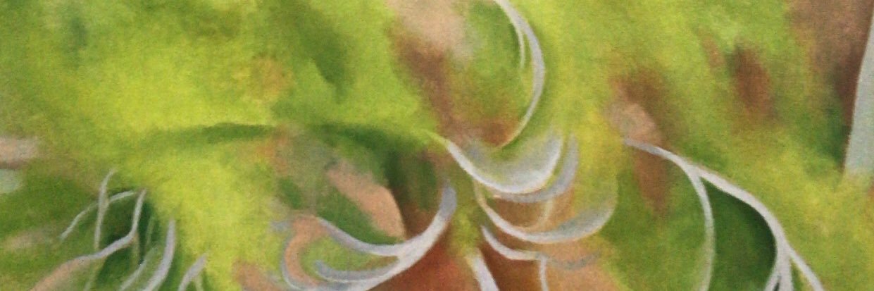 DJACORN's profile banner image