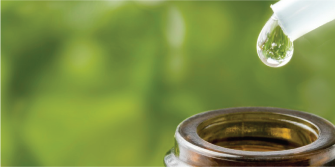 bichointegral's profile banner image