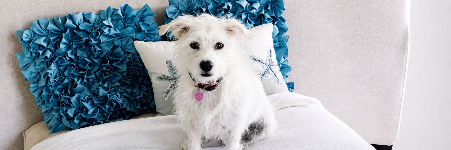 Hazelhollyfi's profile banner image