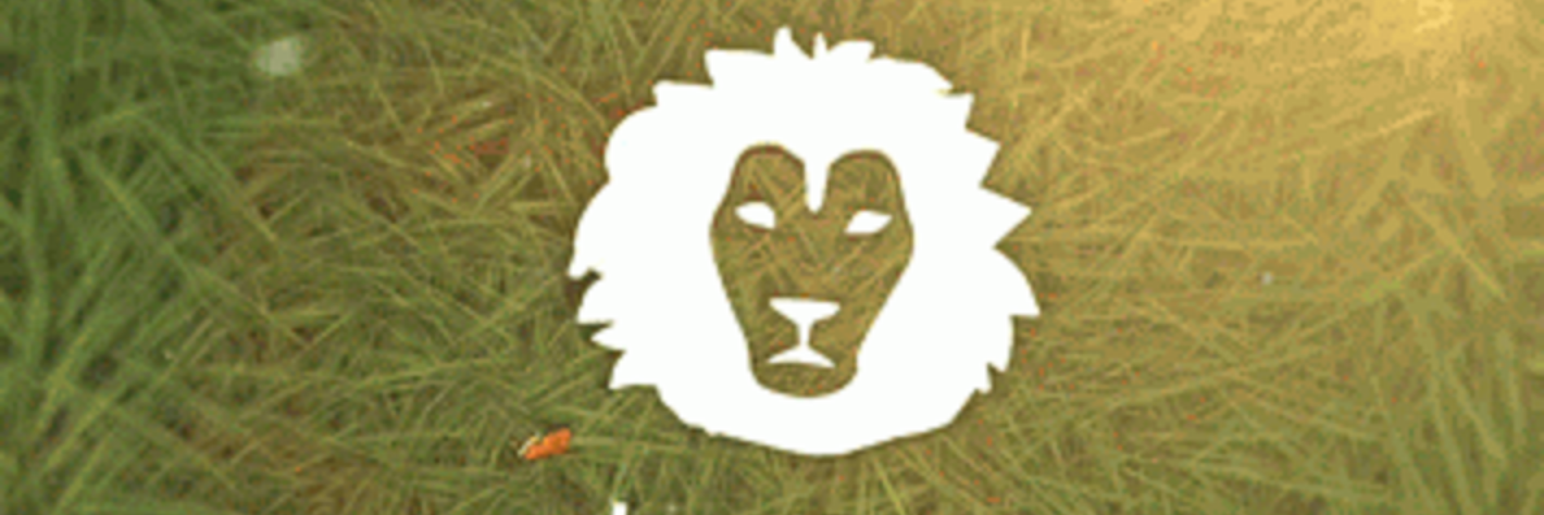 Bravmovement's profile banner image