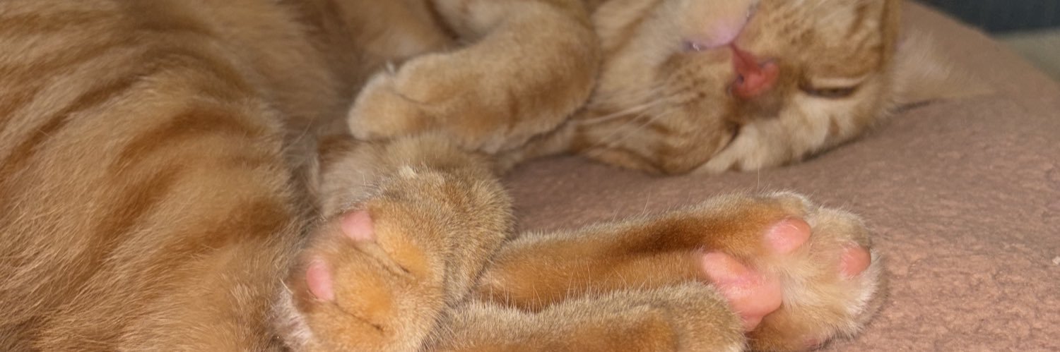 kaitypearsonn's profile banner image