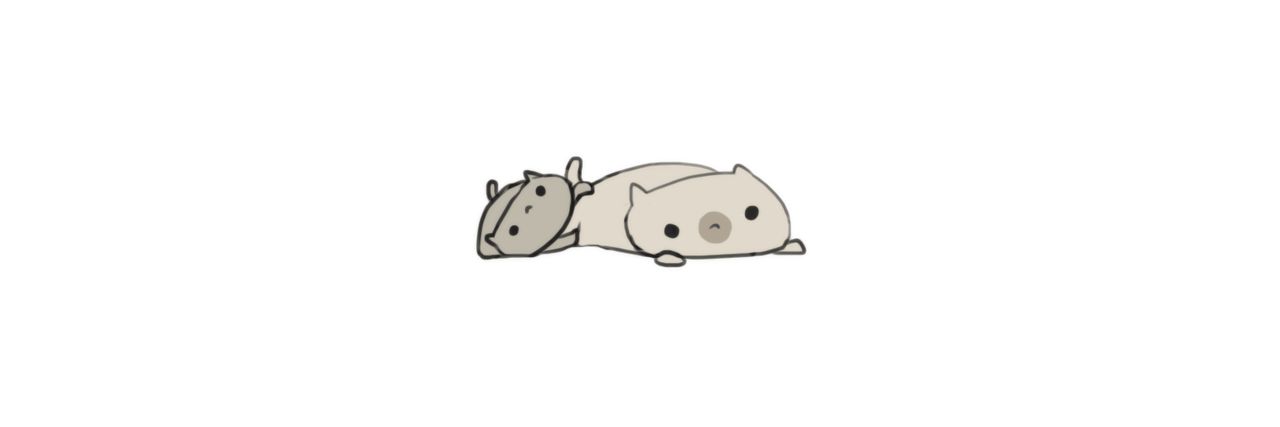 AuditorSS's profile banner image