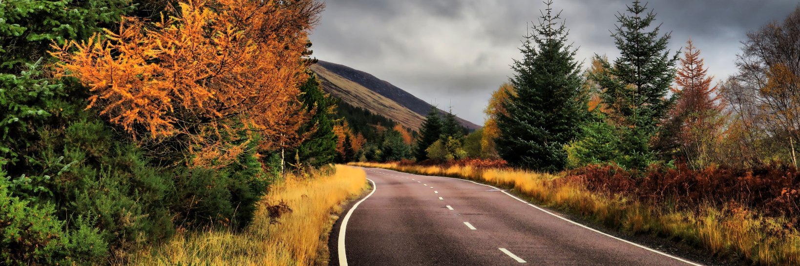 davidcorfield's profile banner image