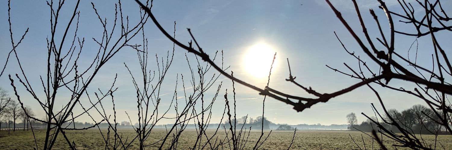 Michael van der Kamp banner