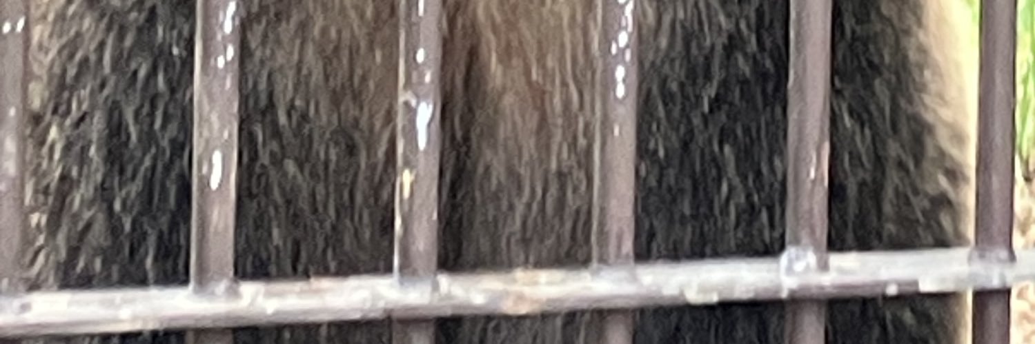 johnrichardson4's profile banner image
