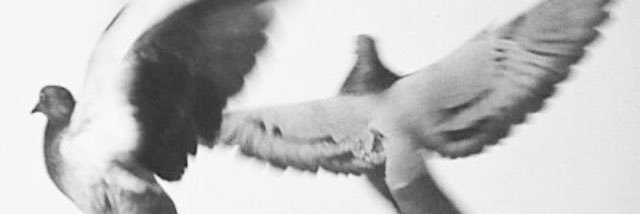 abeer124681's profile banner image