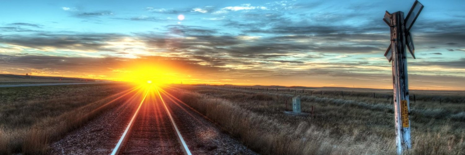 Michael 🇺🇸 a Distinguished Fellow banner